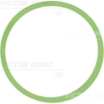 Прокладка впускного коллектора