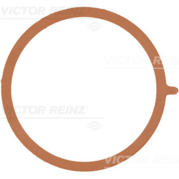 Прокладка впускного коллектора