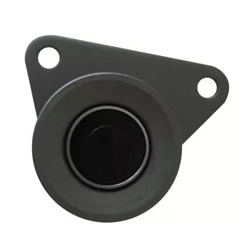 Ролик ремня ГРМ FORD MONDEO/FORD FOCUS II 2.5/VOLVO 850/S40-S80 1.6-2.9