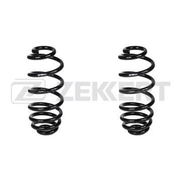 Пружина подвески задн. BMW X6 (E71 E72) 08-(в упак. 2 шт.)