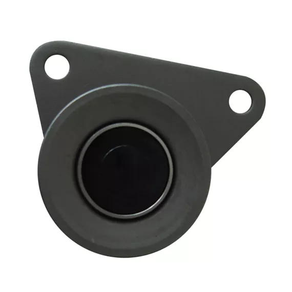 Ролик ремня ГРМ FORD MONDEO/FORD FOCUS II 2.5/VOLVO 850/S40-S80 1.6-2.9
