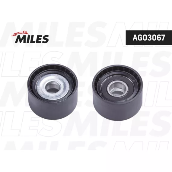 Ролик ремня приводного MB W220/C215 6.0/3.0D M275/OM642