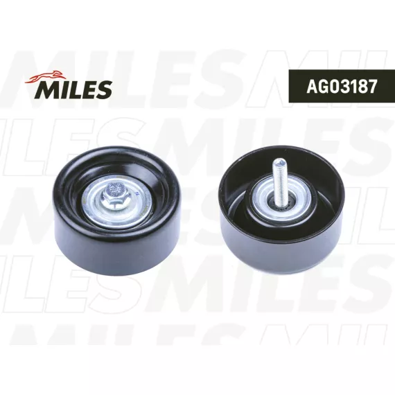 Ролик ремня приводного OPEL/GM/SAAB 2.0/2.4 08-