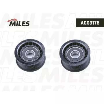 Ролик ремня приводного VAG/PORSCHE 3.0 08-