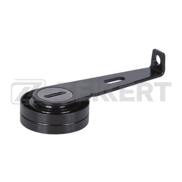 Ролик с натяжителем агрегатного ремня Peugeot 306 98- 405 I II 88- Fiat Ducato (230_) 94-