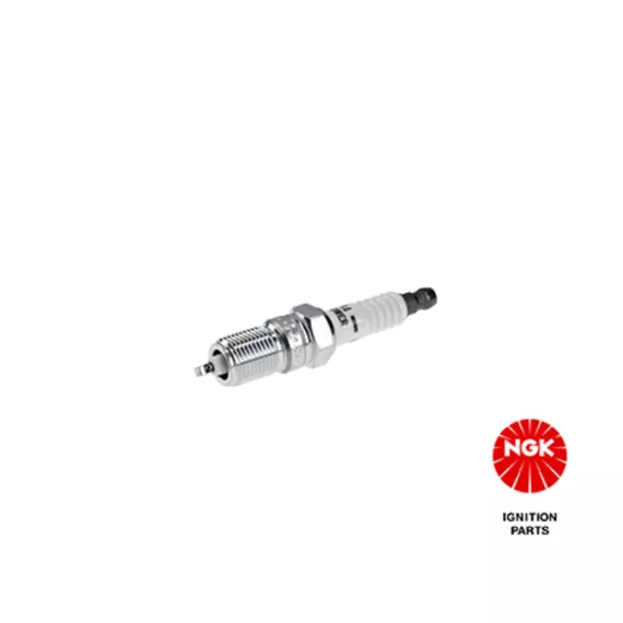 Свеча зажигания TR55
