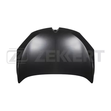 Капот Renault Megane III 08- (Тайвань)