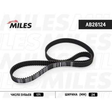 Ремень ГРМ 171S8M24
