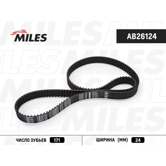 Ремень ГРМ 171S8M24