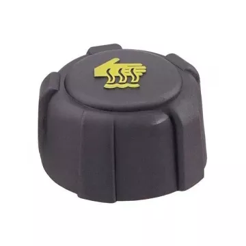 Крышка расширительного бачка (замена для HP-700210755)
