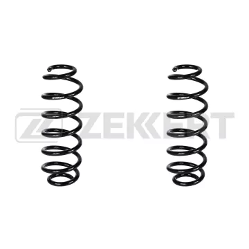 Пружина подвески задн. Citroen C4 II 09- DS4 11-(в упак. 2 шт.)