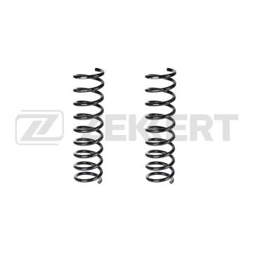Пружина подвески задн. BMW 5 (E39) 95-(в упак. 2 шт.)