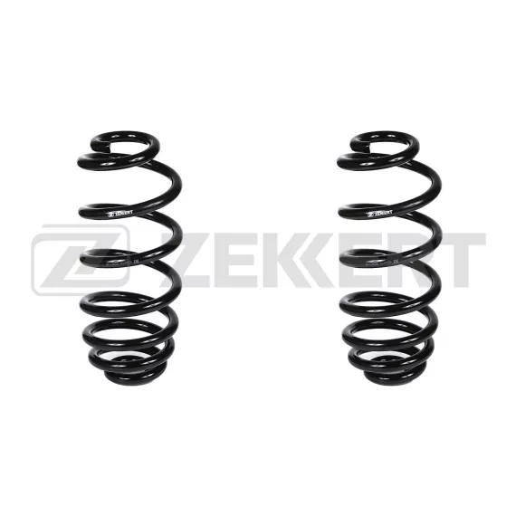 Пружина подвески задн. BMW X6 (E71 E72) 08-(в упак. 2 шт.)