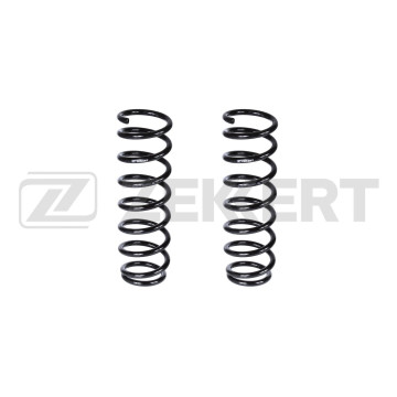 Пружина подвески задн. Citroen C4 Aircross 12- Mitsubishi ASX III(в упак. 2 шт.)