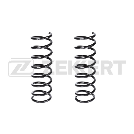 Пружина подвески задн. Ford C-MAX 07- Focus C-MAX 03-(в упак. 2 шт.)