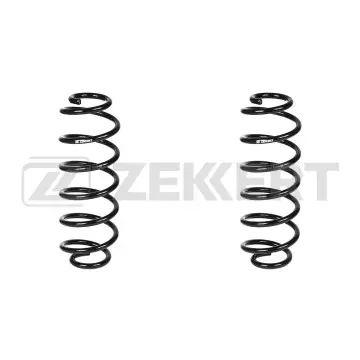Пружина подвески задн. Ford Fiesta VI 08-(в упак. 2 шт.)