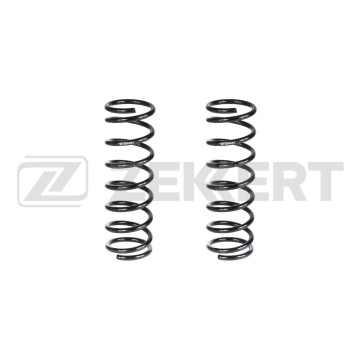 Пружина подвески задн. Ford Focus 98-(в упак. 2 шт.)