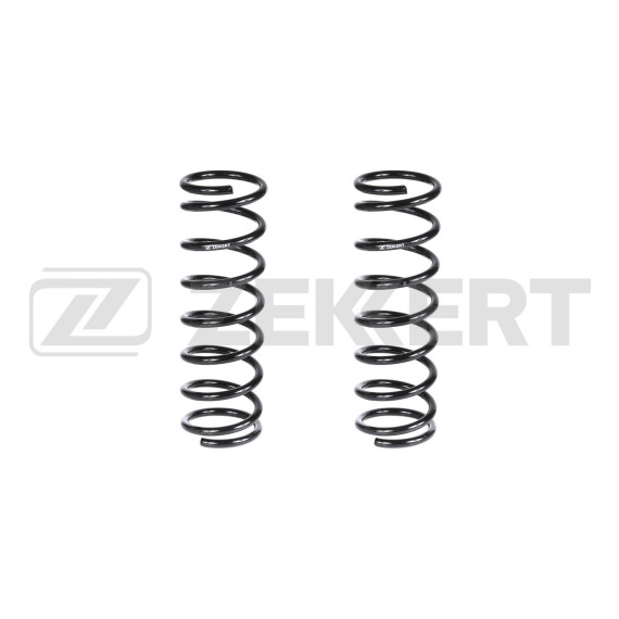 Пружина подвески задн. Ford Focus 98-(в упак. 2 шт.)