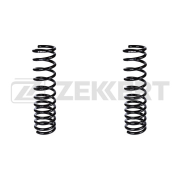 Пружина подвески задн. Ford Focus 99-(в упак. 2 шт.)