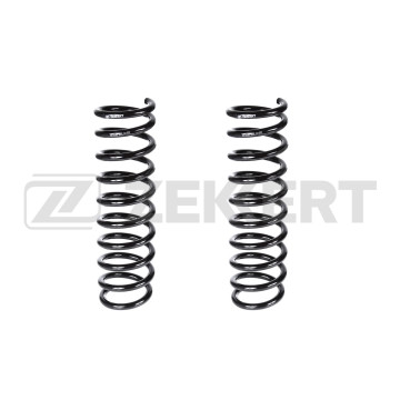 Пружина подвески задн. Ford Focus II 04-(в упак. 2 шт.)