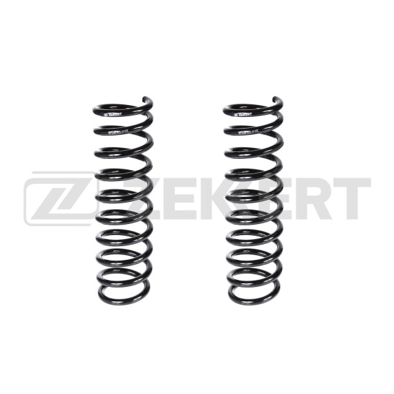 Пружина подвески задн. Ford Focus II 04-(в упак. 2 шт.)