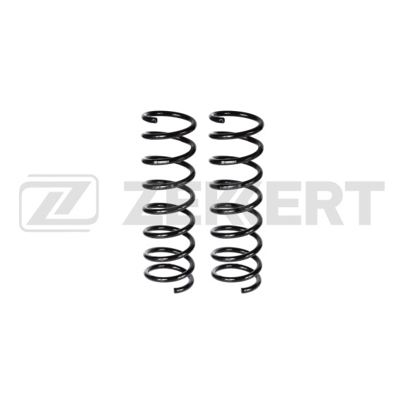 Пружина подвески задн. Ford Focus III 10-(в упак. 2 шт.)