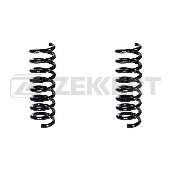 Пружина подвески задн. MB C-Class (203) 00- E-Class (W210) 95- CL(в упак. 2 шт.)