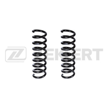 Пружина подвески задн. MB E-Class (211) 02-(в упак. 2 шт.)