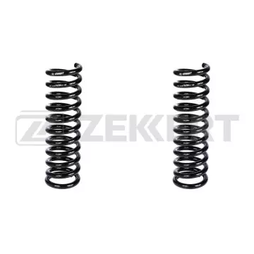 Пружина подвески задн. MB E-Class (W124) 93-(в упак. 2 шт.)