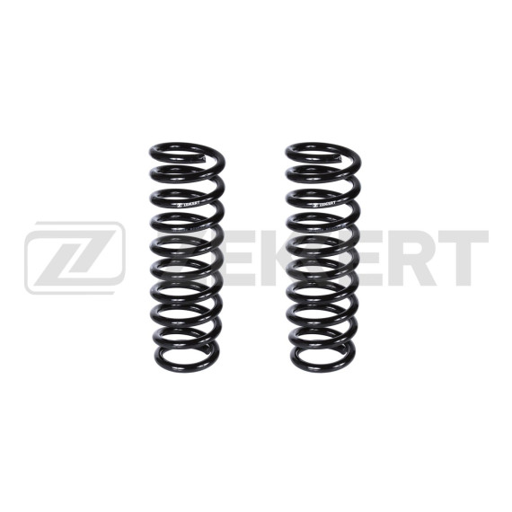 Пружина подвески задн. Mitsubishi Outlander III 12-(в упак. 2 шт.)