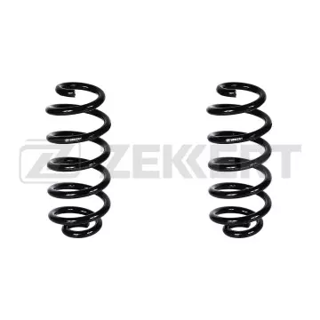 Пружина подвески задн. Nissan Qashqai (J11) 13- Renault Kadjar 15-(в упак. 2 шт.)