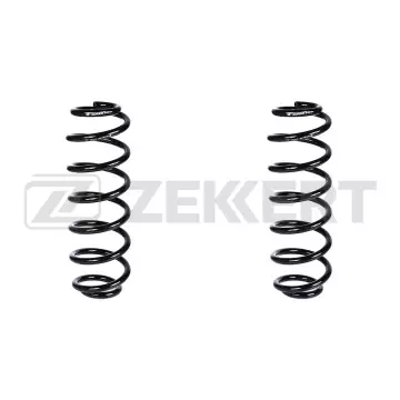 Пружина подвески задн. VW Passat VI 05- Tiguan 07-(в упак. 2 шт.)