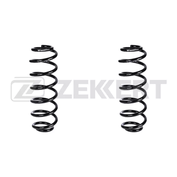 Пружина подвески задн. VW Passat VI 05- Tiguan 07-(в упак. 2 шт.)