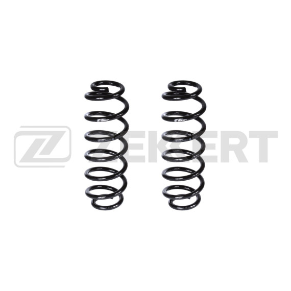 Пружина подвески задн. VW Passat VI VII 05-(в упак. 2 шт.)