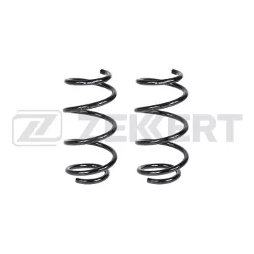 Пружина подвески передн. Citroen Jumper 06- Fiat Ducato (250_ 290_(в упак. 2 шт.)