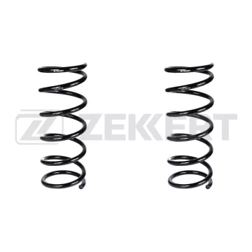 Пружина подвески передн. Citroen Jumper (244 Z_) 02-(в упак. 2 шт.)