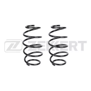 Пружина подвески передн. Nissan Qashqai (J10 NJ10 JJ10E) 07-(в упак. 2 шт.)