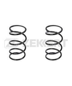 Пружина подвески передн. Nissan X-Trail (T30) 05-(в упак. 2 шт.)