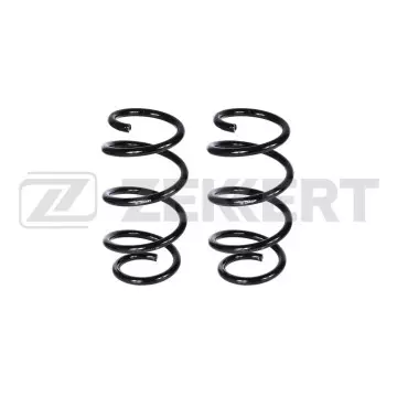 Пружина подвески передн. Peugeot Boxer 06- Fiat Ducato (250_) 06-(в упак. 2 шт.)