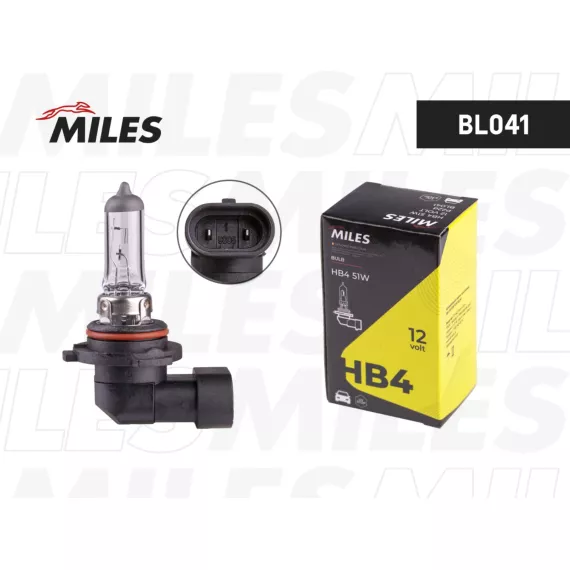 Лампа HB4 12V 51W P22d