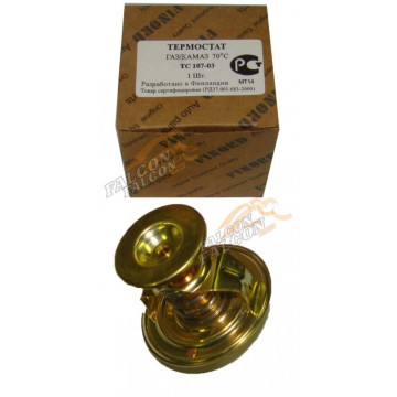 Термостат  70* (Finord)