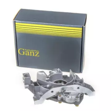 Насос масл -2112 (GANZ) инжектор в сборе GRE20001