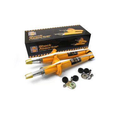 Аморт -2110, 1118 Kalina з/п (Hola) /масло шт S434