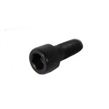 Болт М12*1,25*30 (NF) кл.пр 10.9 крепл суппорта -2108 10шт