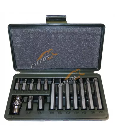 Вставки набор Torx 3/8"(Т20,Т25,Т30,Т35,Т40,Т45,Т50,Т55) 30 и 75мм 15 пр (ДТ)