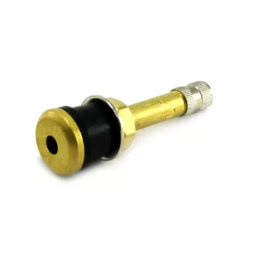 Вентиль бескамерных шин ГРУЗОВОЙ D=19/15,7 L=55 (TR500)